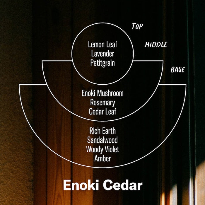 Enoki Cedar Candle