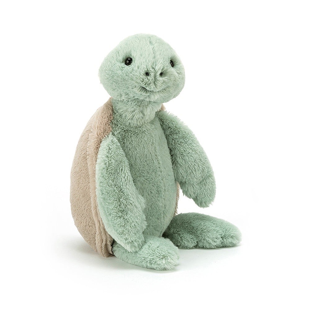 Bashful Turtle - Medium